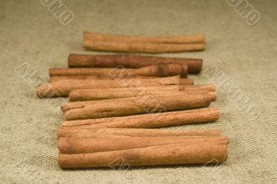 Cinnamon