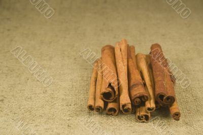 Cinnamon
