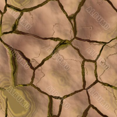 Parched earth