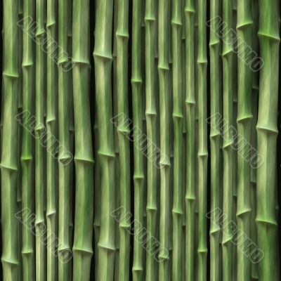 Bamboo plants