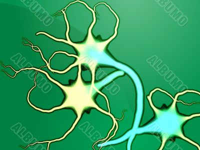 Nerve cells illustration