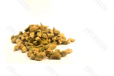 Cardamom