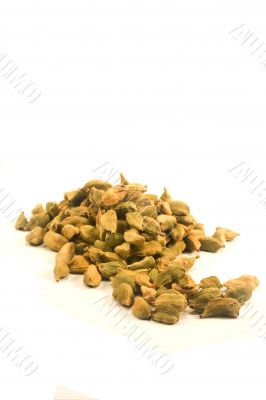 Cardamom