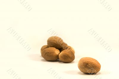 Nutmeg