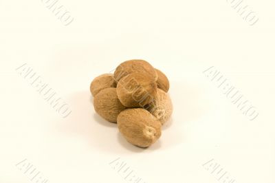 Nutmeg