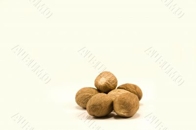 Nutmeg