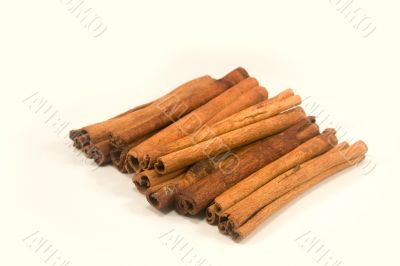 Cinnamon