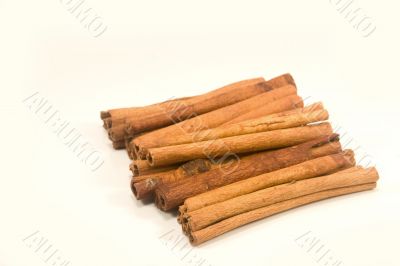 Cinnamon