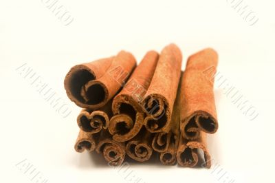 Cinnamon