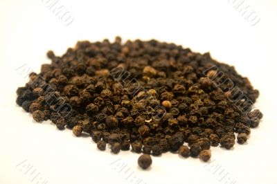 Pepper