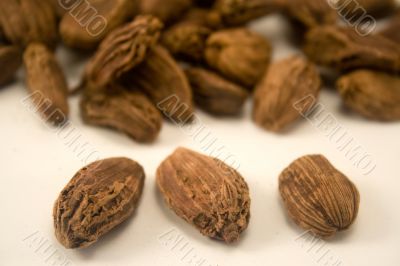 Black cardamom
