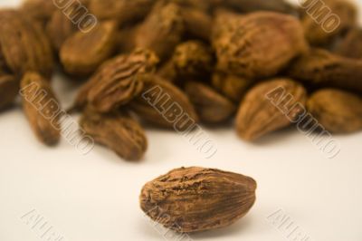 Black cardamom
