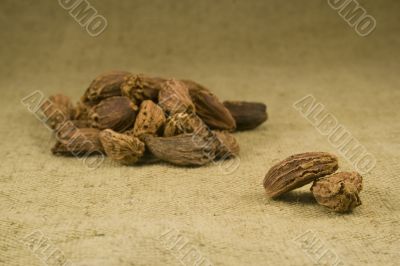Black cardamom