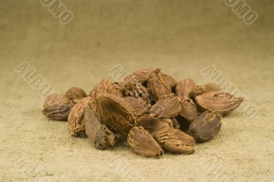 Black cardamom