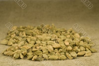 Cardamom