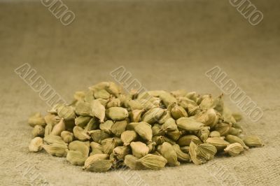 Cardamom