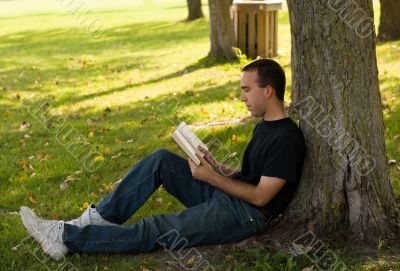 Reading A Book