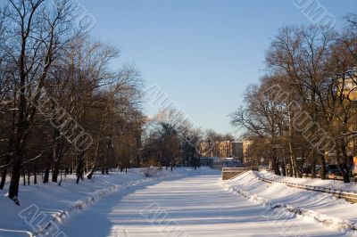 Trees along the road