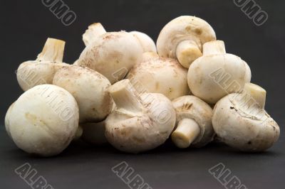 Mushrooms