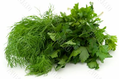 Fresh green dill and parsley