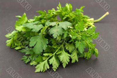 Fresh green parsley