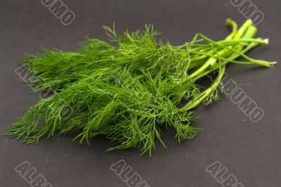 Fresh green dill