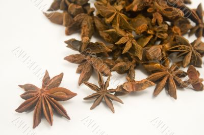Star anise