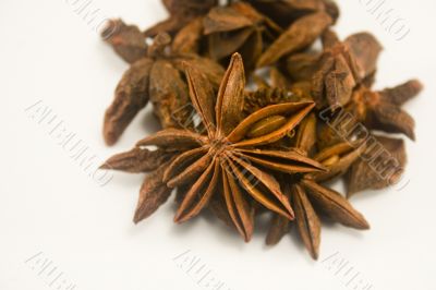 Star anise