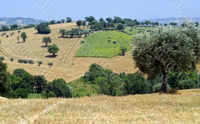 Marche - Landscape