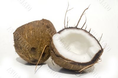 Coconut