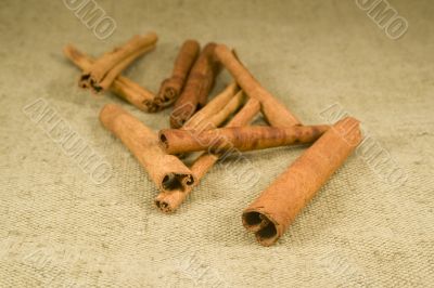 Cinnamon