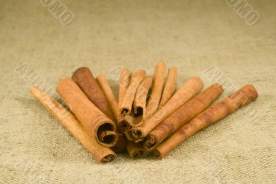 Cinnamon