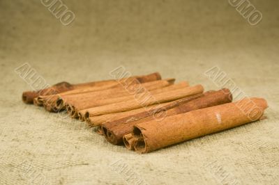 Cinnamon