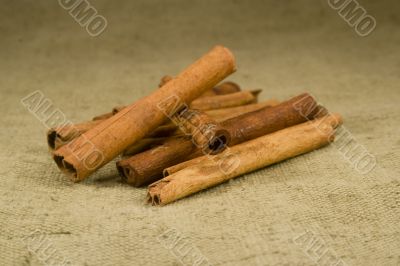 Cinnamon