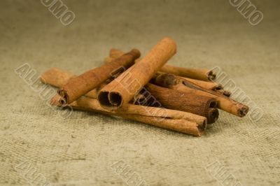 Cinnamon