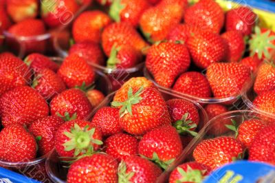 Strawberry on market