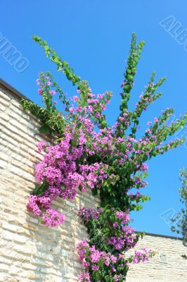 Bright colors of Mediterranean region