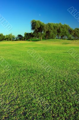 Green landscape