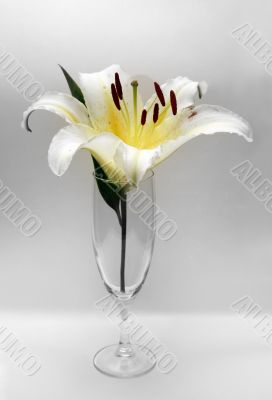 Glass with a flower