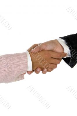 shaking hands
