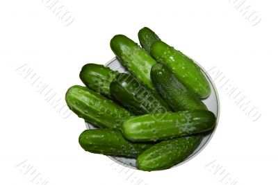 Cucumbers on a plate.