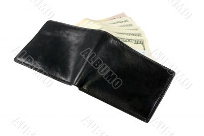 Wallet with dollars