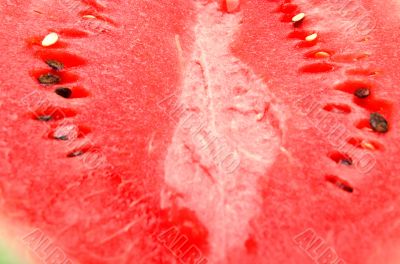 ripe water-melon