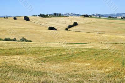 Marche - Landscape near Cingoli