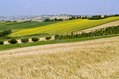 Marche, landscape at summer