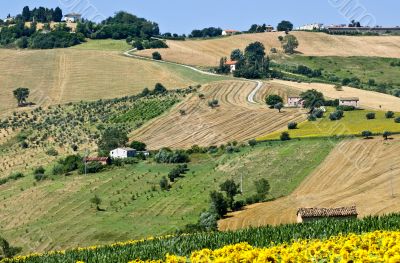 Marche - Landscape at summer