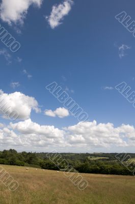 Farmland