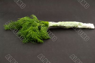 Fresh green dill