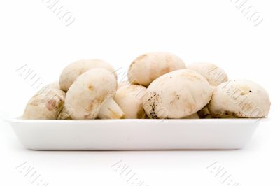Mushrooms