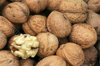 Walnuts
